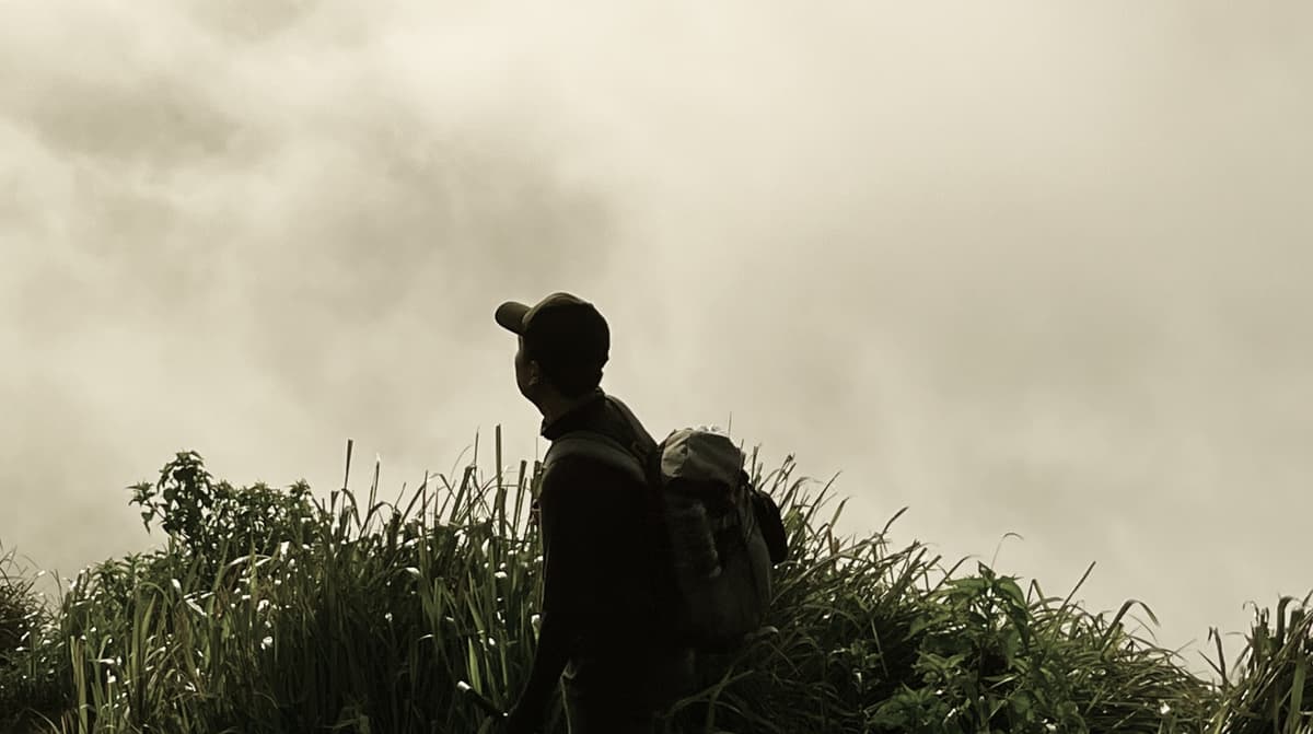 virgiawan