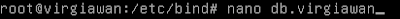 Cara install DNS server beserta konfigurasinya